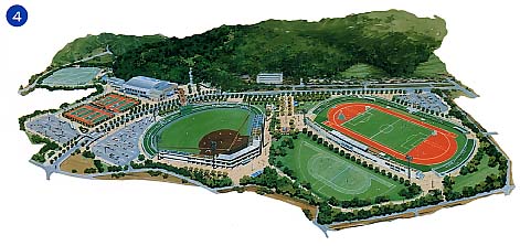 4.新潟県三条市運動公園